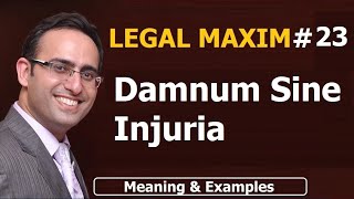 LATIN MAXIM 23  Damnum Sine Injuria  LEGAL MAXIM23  Meaning amp Examples  UPSC  JUDICIARY LAW [upl. by Lectra]