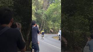 Wild Elephants Emerge from Jungle Tourists Capture Incredible Footage Before Running for Safety [upl. by Analaj854]