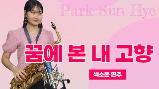 꿈에 본 내 고향  한정무님  🩷박선혜 색소폰 연주🩷 alto saxophone cover 음악 music 트로트 saxophone 색소폰연주 [upl. by Keeton]