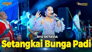 SETANGKAI BUNGA PADI  AYU OCTAVIA  NIRWANA COMEBACK LIVE MALANG [upl. by Ranilopa]