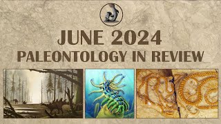 June 2024 Paleontology in Review [upl. by Shimberg662]