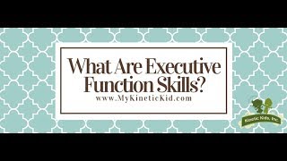 What Are Executive Function Skills  Kinetic Kids Inc [upl. by Ocisnarf982]