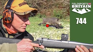 Fieldsports Britain – Wild boar frenzy [upl. by Digdirb]