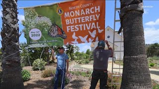 Monarch Festival takes off in San Marcos on May 14 [upl. by Egnalos]