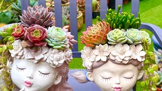 Twin Succulent Head Planters [upl. by Ferriter20]