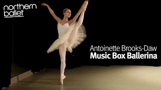 Music Box Ballerina  Antoinette BrooksDaw [upl. by Eilujna816]