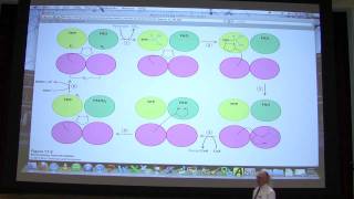 28 Biochemistry Citric Acid Cycle Lecture for Kevin Aherns BB 451551 [upl. by Ogg657]