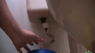 Replace Leaking Fill Valve and Shut Off Valve and Toilet Water Connector [upl. by Sande]