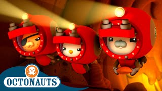 Octonauts  The Waterbears Rescue Mission ⛑️  Series 3  Full Episode 2  Cartoons for Kids [upl. by Sadler667]