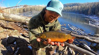 This Lake is LOADED with BROOK TROUT Catch amp Cook [upl. by Cutlor]