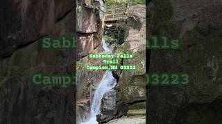 Sabbaday Falls newhampshire trail waterfall hike river trees mountain forest [upl. by Litta546]