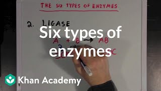 Six types of enzymes  Chemical Processes  MCAT  Khan Academy [upl. by Doug517]