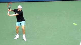 Denis Shapovalov HUGE Forehand amp Backhand Slow Motion [upl. by Downing]