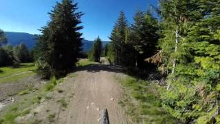 Whistler Crabapple Hits Massive Crash [upl. by Favien549]