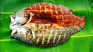 BUTTERFLY GRILLED FISH പൂമ്പാറ്റ മത്സ്യം കനലിൽ ചുട്ടത്  M4 TECH [upl. by Noedig]