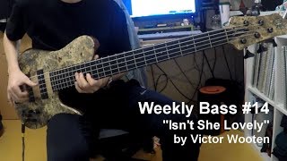 14 Victor Wooten  Isnt She Lovely Bass Cover [upl. by Kilan483]