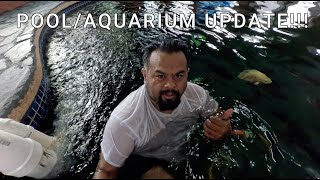 UPDATE ON THE SWIMMING POOLAQUARIUM [upl. by Aubree]