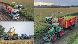 Mais hakselen 2024 van start  Loonbedrijf van Beukelen Pesse  Claas Jaguar 950  Fendt John Deere [upl. by Nelyaw98]