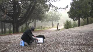 Painting Scots Pine Tree Plein Air at Mt Idyllwild CA with Henry LiLesson 14 [upl. by Rodoeht436]