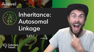 Inheritance Autosomal Linkage  A Level Biology Revision [upl. by Valentia]