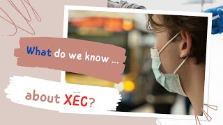 What do we know about transmissible COVID19 strain dubbed XEC [upl. by Aihseym]