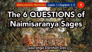 The 6 Questions of Naimisaranya Sages  Bhagavata Pravaha  Day 1  Gauranga Darshan Prabhu [upl. by Mcconaghy38]