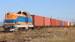 6900810 pleacă de la HS Timber Moacșa cu o garnitură de containere [upl. by Randell]