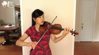 Adele  Hello  Violin Cover [upl. by Ametaf247]