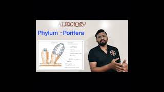 Phylum  Porifera Animal classification  viral short  Avinash sir [upl. by Nnaylrebmik820]