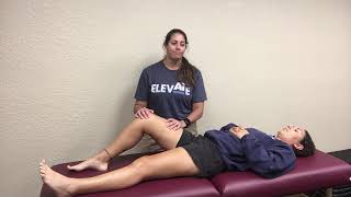 Hip amp Thigh  Muscle Palpation Instructional Video [upl. by Atahs]