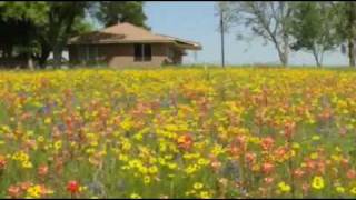 Texas Wildflowers  Tosellis Serenade Andre Rieu [upl. by Borroff]