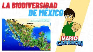 La Biodiversidad de México [upl. by Enehpets]