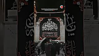 Ayyam e Fatima Noha Status Zakhmi Hain Fatima sa Mir Hasan Mir ayyamfatima yazehra yaali vdo [upl. by Witherspoon]