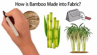 How is Bamboo Fabric Made  Bamboo Detective [upl. by Reivaxe]