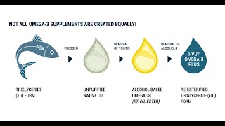 FISH OIL TRIGlYCERIDES VS ETHYL ESTER [upl. by Anad190]