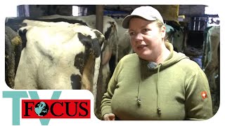 Leidenschaft Landwirtschaft Zwei Schwestern kämpfen für ihren Bauernhof  Focus TV Reportage [upl. by Yrojram]