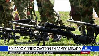 Dos uniformados y un perro antiexplosivos heridos tras caer en campo minado [upl. by Politi282]