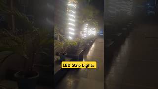 Led Strip Lights for Outdoor decoration shorts viralshorts viralvideo ledlights outdoorlights [upl. by Frasquito]