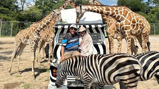 KANCHANABURI SAFARI PARK 2024 [upl. by Yentiw]