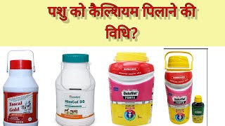 कैल्शियम पिलाने की विधि कैल्शियम के लाभ calcium work in animalscalcium tonic for animals [upl. by Sundberg]