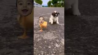 şaşkın ördek 🦆kaç köpek geliyor🐕🌹💐 keşfet shorts cute niloya pepe [upl. by Marabelle]