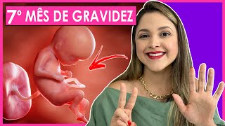 7 MESES DE GRAVIDEZ  SEMANAS 28 29 30 31 [upl. by Hickey]