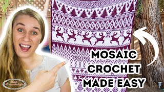 MOSAIC CROCHET MADE EASY with a Huge MOSAIC CROCHET PARTY  60 Patterns [upl. by Faxon883]