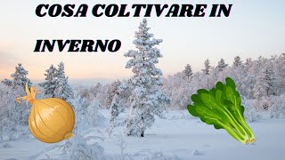 COSA COLTIVARE IN INVERNO NEL PROPRIO ORTO [upl. by Faletti]