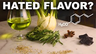 The source of licoriceliquoriceanise flavor [upl. by Aerdnat]