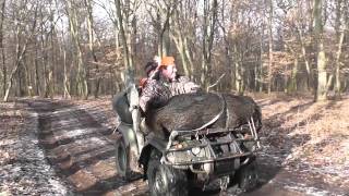 Wildschweinjagd 110kg Keiler auf Quad [upl. by Odnolor356]