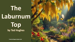 The Laburnum Top Poem 2 in Hornbill [upl. by Nnylarak]