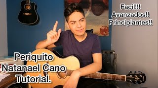 Periquito  Natanael cano  Tutorial [upl. by Jessen24]