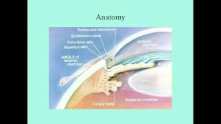 Uveitis  CRASH Medical Review Series [upl. by Tnek187]