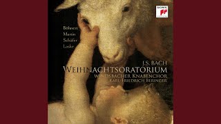 Weihnachtsoratorium BWV 248 No 8 Großer Herr o starker König [upl. by Aehtela]